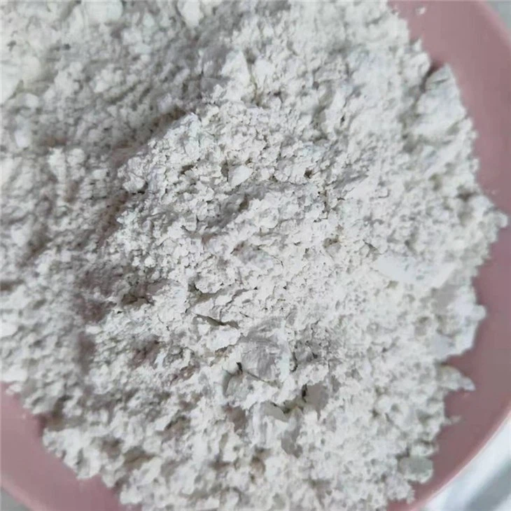 Diatomite