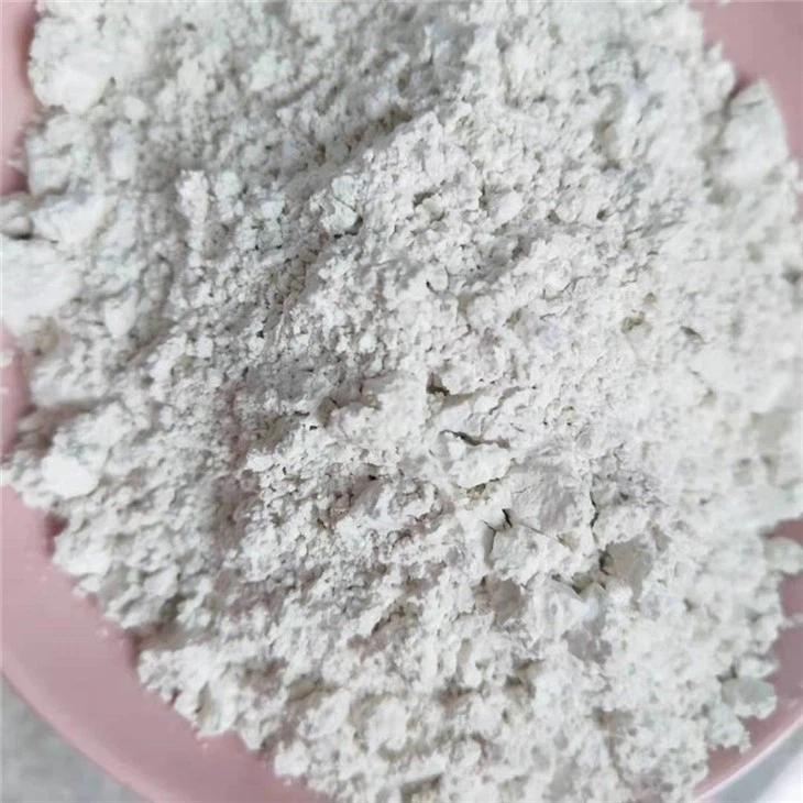 Diatomite