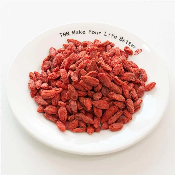 Goji Berry supplier