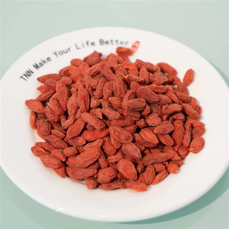 Goji Berry Price