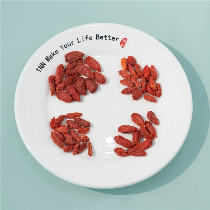 Goji Berry high quality